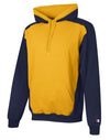 Champion Mens Double Dry Eco Colorblocked Fleece Hood