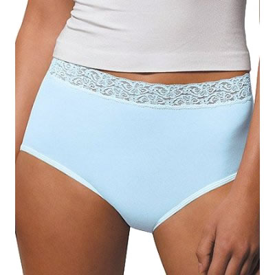 Hanes Elegance Nylon Brief