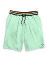 Champion Mens Terry Shorts