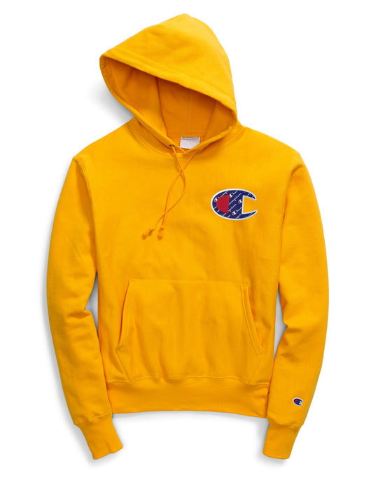 Champion Life Adult Reverse Weave Pullover Hoodie