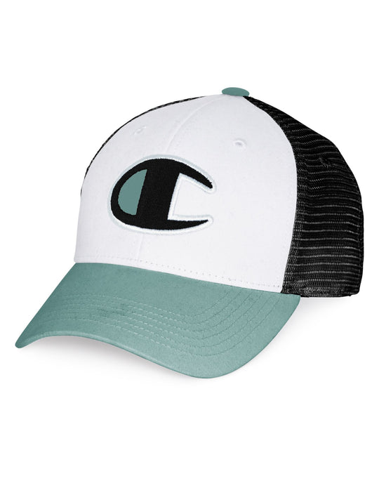 Champion Life Mens Twill Mesh Dad Cap