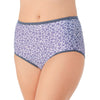 Vanity Fair Body Shine Illumination Women`s Brief
