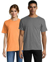 Hanes Unisex Adult X-Temp Performance T-Shirt