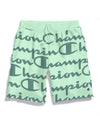 Champion Life Mens Reverse Weave Cut-Off Shorts