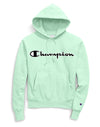 Champion Life™ Mens Reverse Weave® Pullover Hoodie
