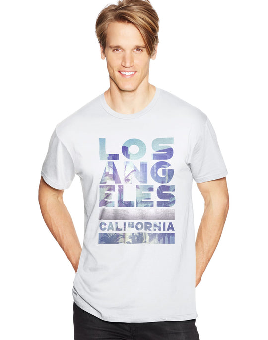 Hanes Men`s Graphic Tee