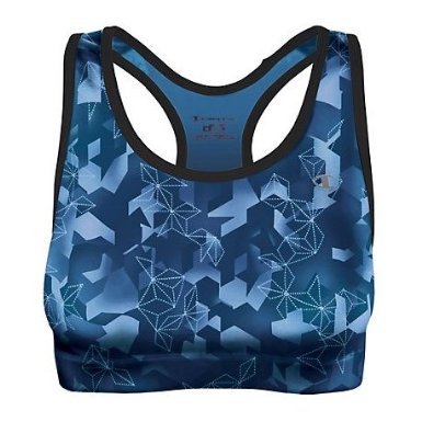 Champion Double Dry Absolute Workout Sports Bra