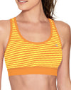 Champion Double Dry Absolute Workout Sports Bra