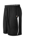Champion Men's Double Dry Short - 10" With Insert