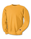 Champion Men's Double Dry Eco Fleece Crew