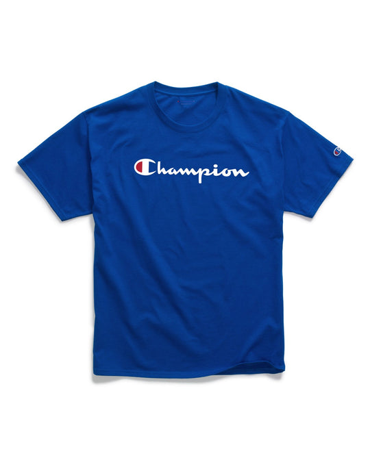 Champion Mens Graphic Jersey Tee