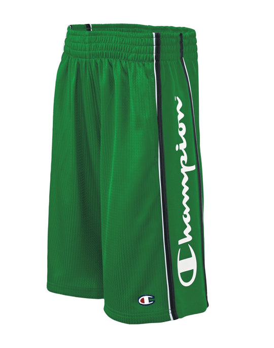 Champion Boys' Stripe Dazzle Shorts with Script Logo