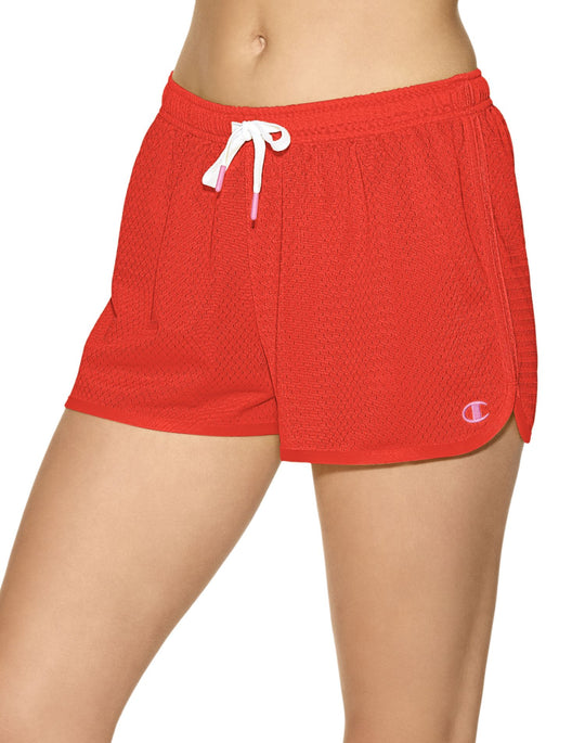 Champion Women`s Authentic Novelty Shorts