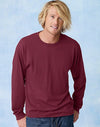 Hanes TAGLESS EcoSmart Men's Long-Sleeve T-Shirt