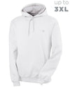Champion Eco Fleece Pullover Men's Hoodie