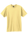 Hanes Beefy-T Adult Short-Sleeve T-Shirt