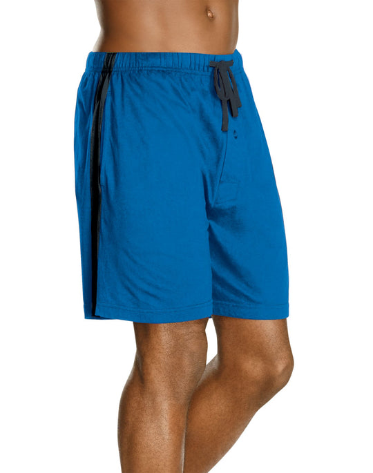 Hanes Men’s Logo Waistband 2-Pack Striped Shorts
