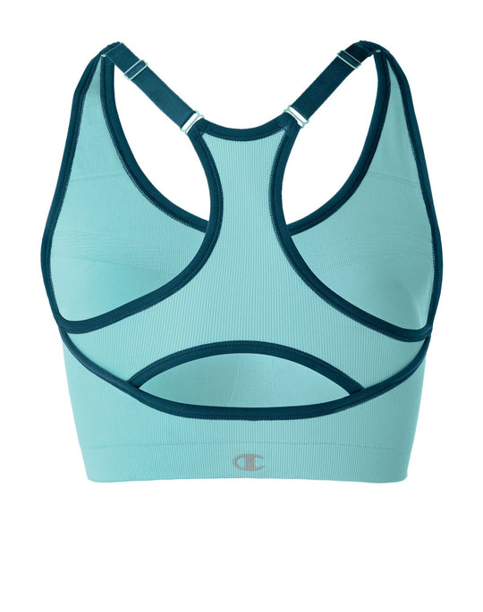 Champion Under Cover Wirefree Maximum Control Sports Bra