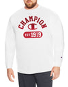 Champion Mens Big & Tall Cotton Long-Sleeve Graphic Tee