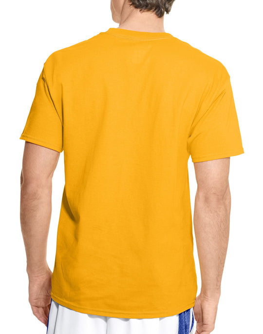 Champion Cotton Jersey Mens T Shirt