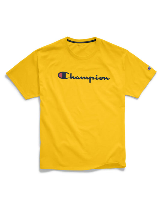 Champion Mens Graphic Jersey Tee