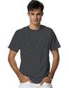 Hanes Unisex Adult X-Temp Performance T-Shirt