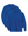 Hanes Boys ComfortSoft Long Sleeve Tee Value 3-Pack