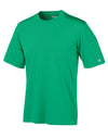 Champion Men`s Essential Double Dry Tee