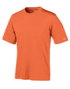 Champion Men`s Essential Double Dry Tee