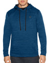 Champion Mens Premium Tech Fleece Pullover Hood