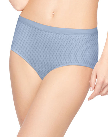 Hanes Womens 4-Pack Ultra Light Brief