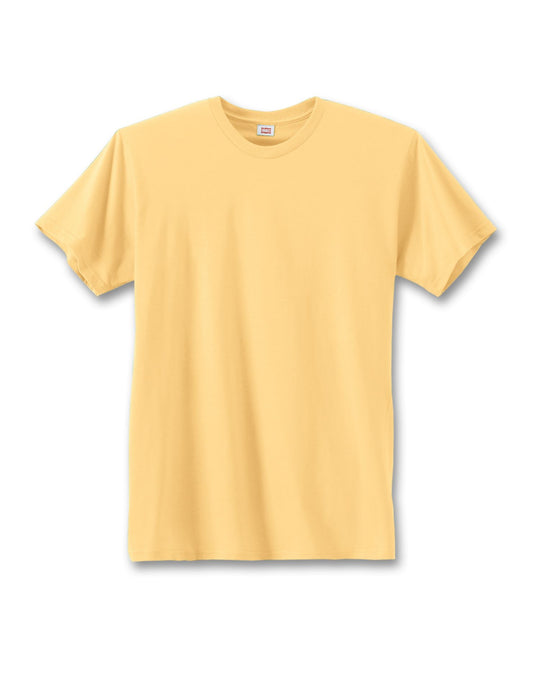 Hanes Men's Nano-T T-shirt