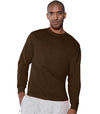 Hanes TAGLESS 6.1 oz. Comfortsoft Long Sleeve T-Shirt