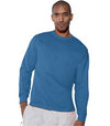 Hanes TAGLESS 6.1 oz. Comfortsoft Long Sleeve T-Shirt