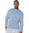 Hanes TAGLESS 6.1 oz. Comfortsoft Long Sleeve T-Shirt