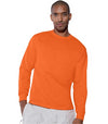 Hanes TAGLESS 6.1 oz. Comfortsoft Long Sleeve T-Shirt