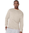 Hanes TAGLESS 6.1 oz. Comfortsoft Long Sleeve T-Shirt
