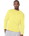 Hanes TAGLESS 6.1 oz. Comfortsoft Long Sleeve T-Shirt