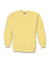 Hanes Ultimate Cotton Crewneck Adult Sweatshirt