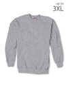 Hanes Ultimate Cotton Crewneck Adult Sweatshirt