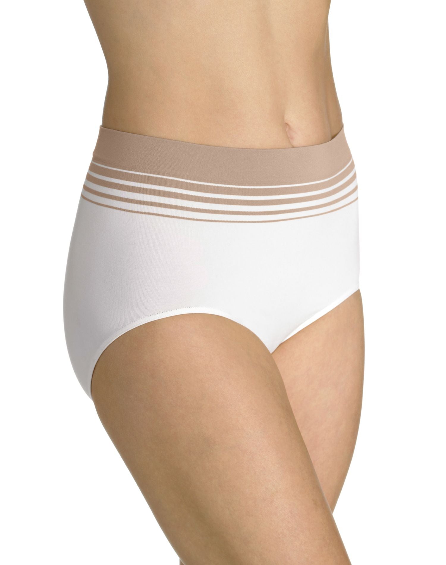 Bali Passion for Comfort Microfiber Brief Panties (2287)