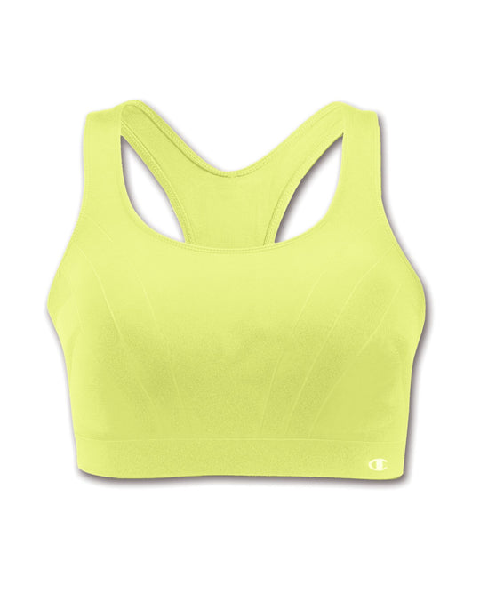 Champion Women’s Double Dry Shiny Seamless Sports Bra