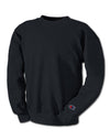 Champion Men's Double Dry Eco Fleece Crew