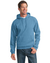 Champion Eco Fleece Pullover Men's Hoodie