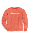 Champion Mens Powerblend Fleece Crew