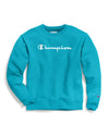 Champion Mens Powerblend Fleece Crew