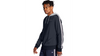 Champion Mens Track Hoodie
