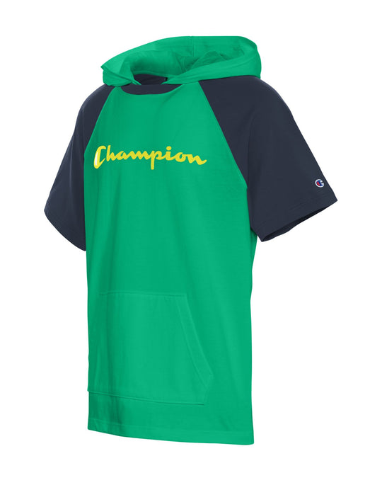 Champion Mens Middleweight Short Sleeve Colorblock Hoodie