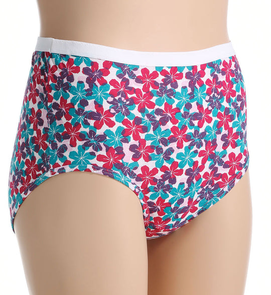 Fruit Of The Loom Fit for Me Women`s 3-Pack Cotton Assorted Plus Brief Panties