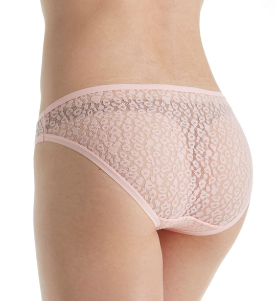 Fruit of the Loom All Over Lace Women`s 6-Pack Assorted Bikinis